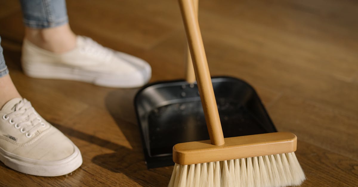 découvrez nos astuces et conseils pratiques pour un nettoyage efficace et rapide de votre maison. transformez votre espace en un environnement sain et agréable grâce à nos techniques de nettoyage professionnelles.