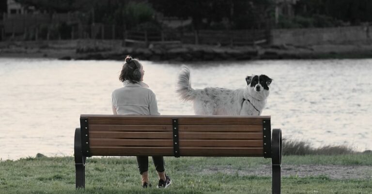 découvrez les meilleures astuces pour éliminer les odeurs de chien de votre maison. apprenez à identifier les causes des mauvaises odeurs et à utiliser des solutions naturelles et efficaces pour apaiser votre environnement tout en gardant votre compagnon à quatre pattes heureux.