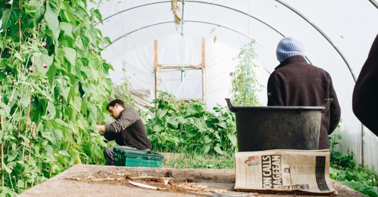 découvrez notre sélection de légumes faciles à cultiver ! que vous soyez débutant ou jardinier expérimenté, apprenez à faire pousser des légumes savoureux avec des conseils pratiques et des astuces pour un jardin florissant.