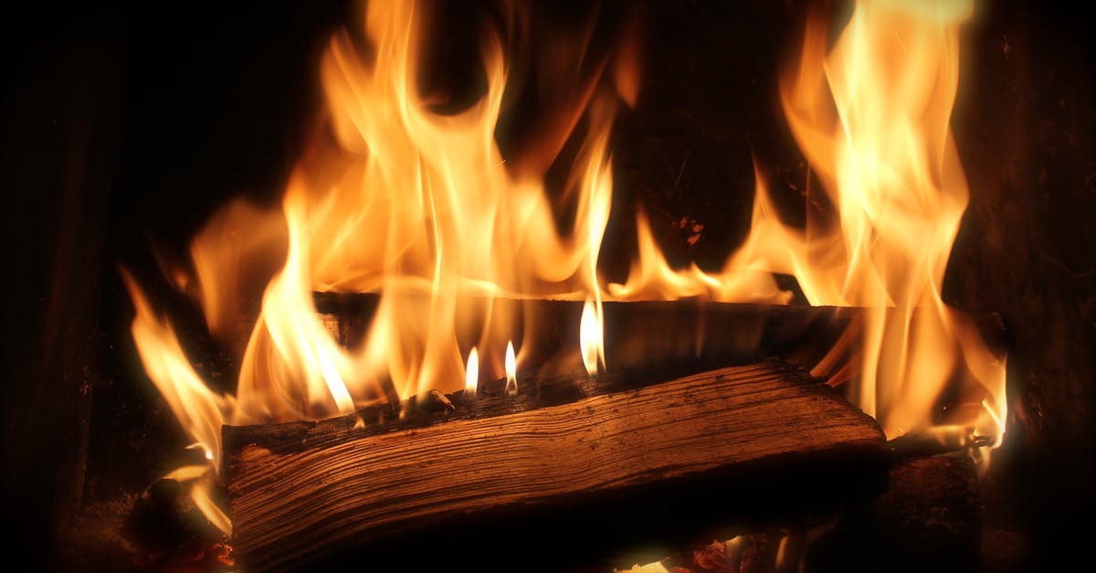 découvrez notre sélection de bois de chauffage de qualité supérieure, idéal pour réchauffer votre foyer tout en apportant une ambiance chaleureuse. profitez d'un combustible écologique et économique pour vos soirées glaciales.