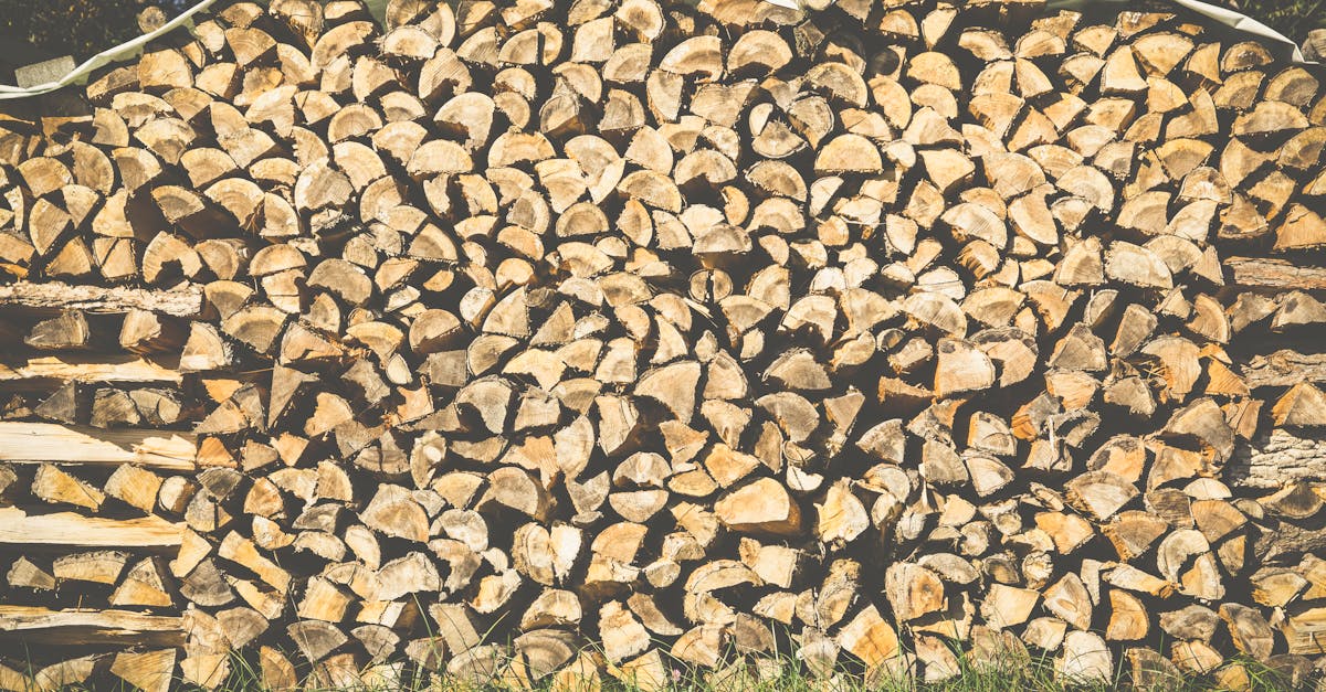 découvrez notre sélection de bois de chauffage de qualité, idéal pour réchauffer votre foyer et créer une ambiance chaleureuse. profitez d'un bois sec et prêt à l'emploi pour des soirées cocooning inoubliables.