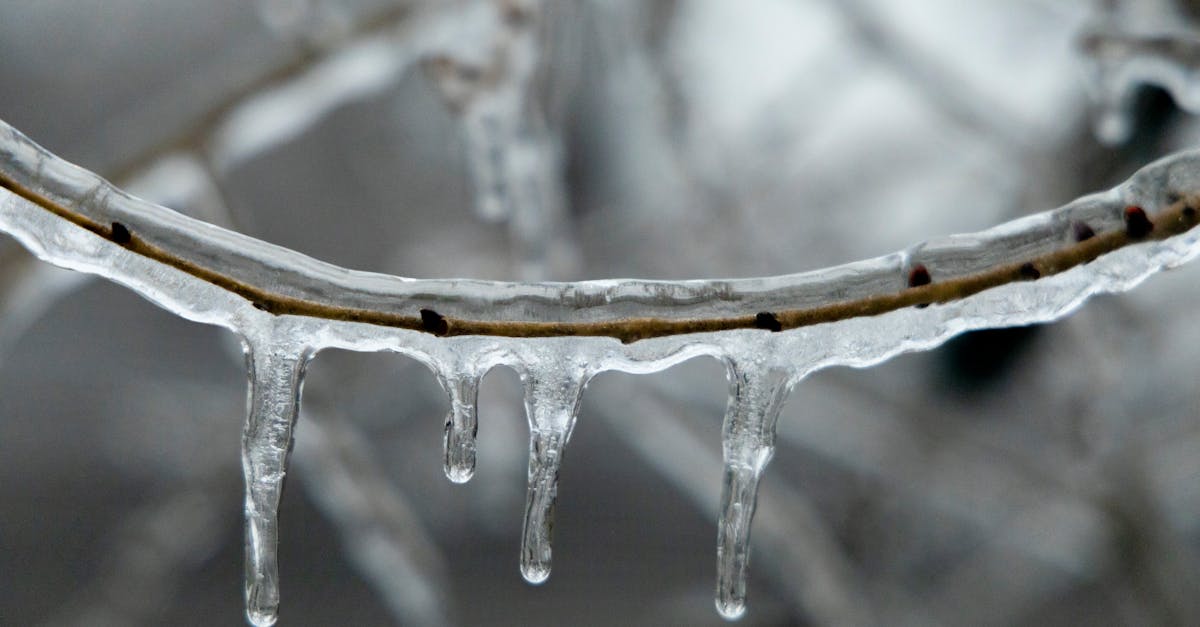 découvrez comment optimiser l'utilisation de votre freezer : astuces pour la conservation des aliments, organisation et meilleurs conseils pour prolonger la durée de vie de vos produits surgelés.