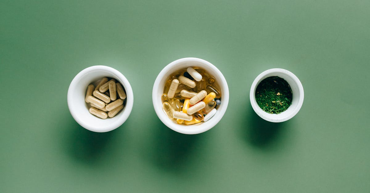 découvrez des alternatives saines et délicieuses pour améliorer votre alimentation quotidienne. explorez des recettes, des conseils nutritionnels et des options savoureuses qui allient plaisir et bien-être.