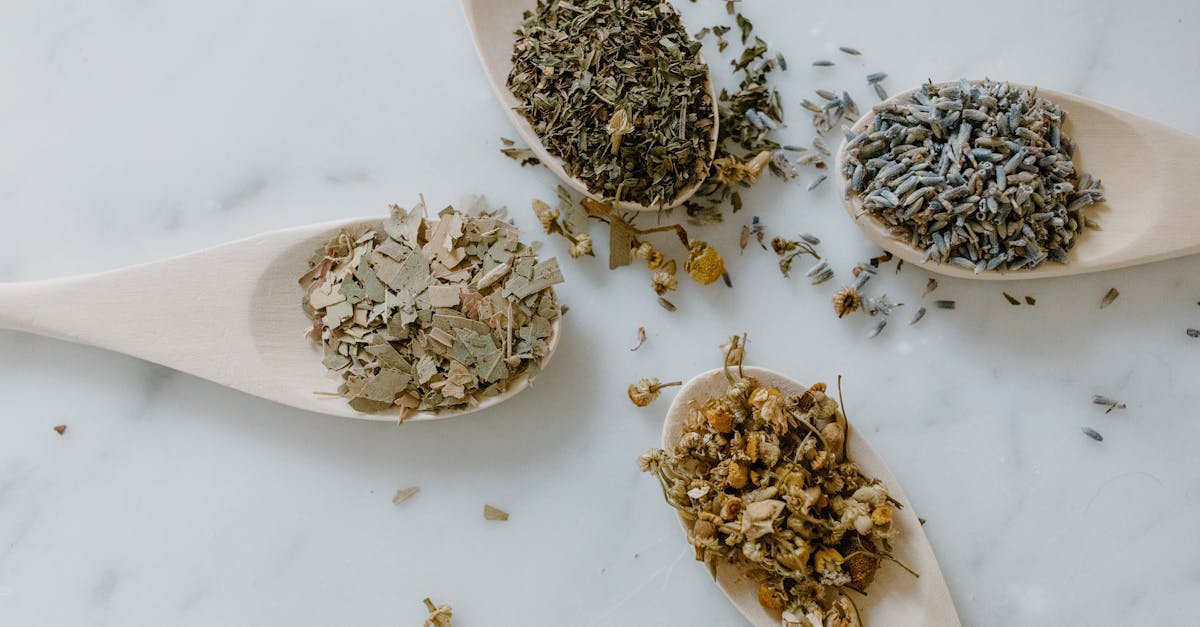découvrez des alternatives saines pour améliorer votre alimentation et votre bien-être. explorez nos conseils et recettes pour faire de meilleurs choix nutritionnels sans compromettre le goût.