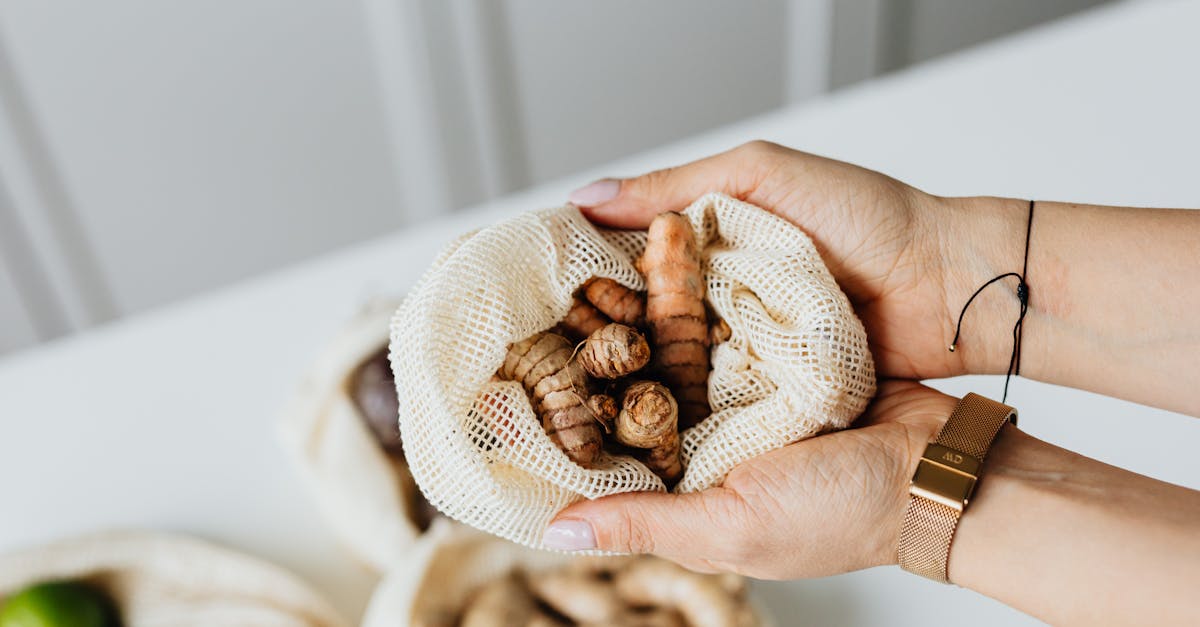 découvrez des alternatives saines pour améliorer votre alimentation et votre bien-être. explorez des recettes nutritives, des substituts savoureux et des conseils pratiques pour adopter un mode de vie équilibré.