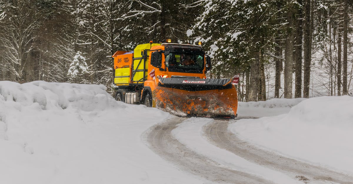découvrez les meilleures astuces et techniques pour l'enlèvement de la glace. protégez votre sécurité et celle de votre propriété grâce à nos conseils efficaces pour un déneigement rapide et facile.