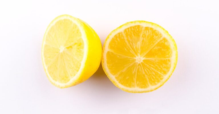 découvrez les bienfaits du citron, un agrume rafraîchissant et plein de saveurs. apprenez comment l'incorporer dans vos recettes, ses propriétés santé et des astuces pour l'utiliser au quotidien.