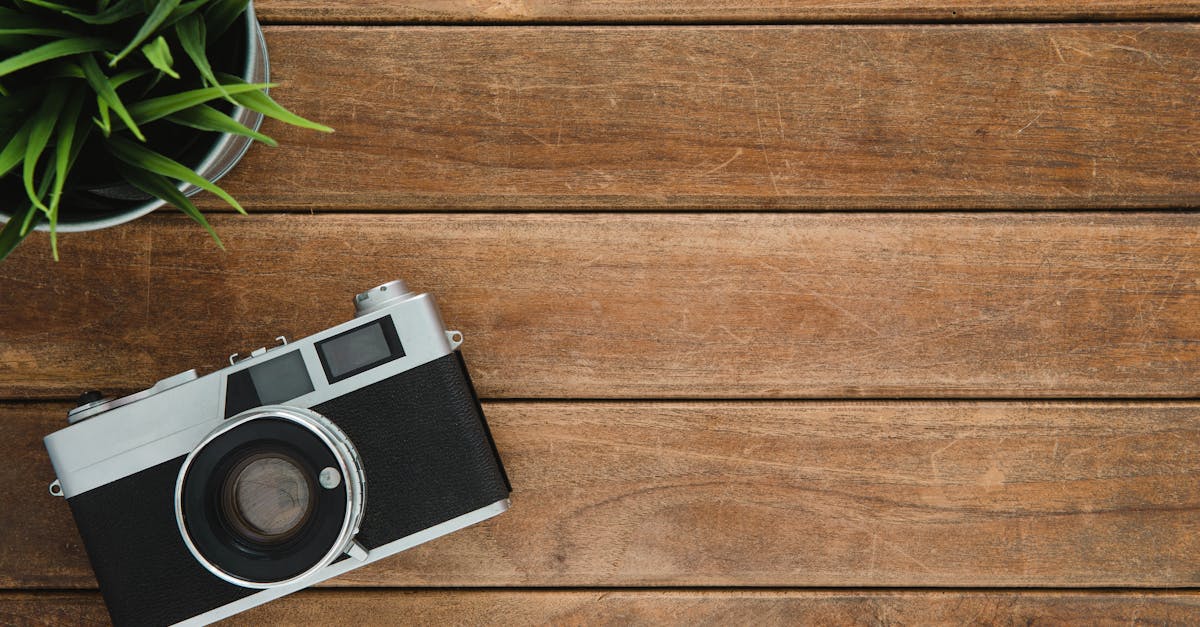 découvrez des conseils et inspirations pour un lifestyle épanouissant. explorez des astuces santé, mode, voyages et bien-être pour enrichir votre quotidien et vivre pleinement.