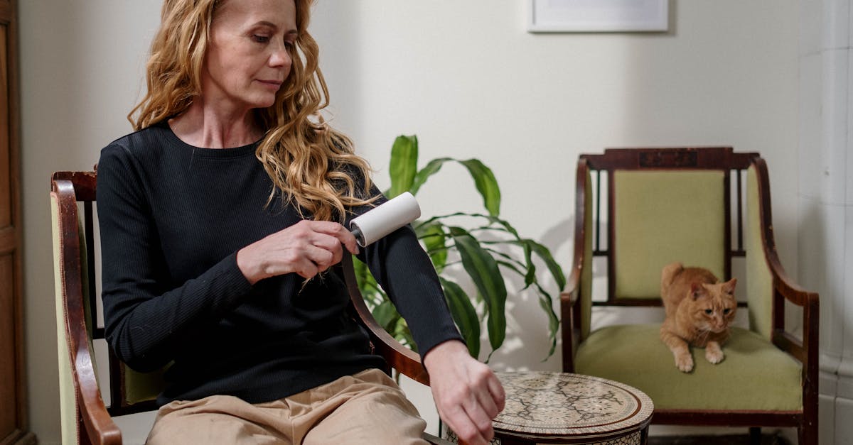 découvrez tout sur le lint : ses causes, ses implications et comment l'éliminer efficacement de vos vêtements et textiles. obtenez des conseils pratiques pour maintenir vos tissus en parfait état et éviter les désagréments liés au peluchage.