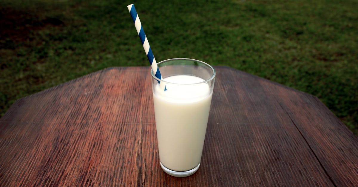 découvrez le lait, une boisson nutritive riche en calcium et en protéines, parfaite pour tous les âges. apprenez ses bienfaits, ses différentes variétés et comment l'intégrer dans votre alimentation quotidienne.