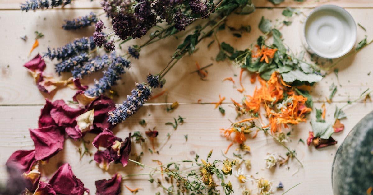 découvrez des remèdes naturels efficaces pour améliorer votre bien-être au quotidien. apprenez comment utiliser des plantes médicinales, des huiles essentielles et d'autres solutions naturelles pour soulager divers maux et renforcer votre santé de manière holistique.