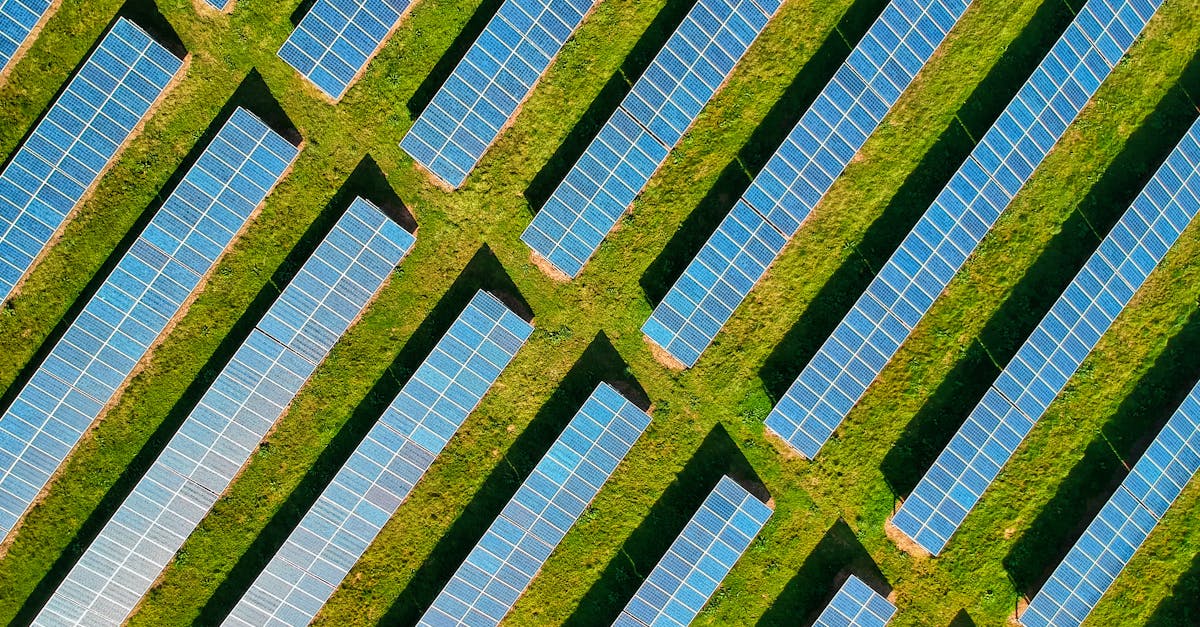 découvrez des solutions naturelles pour améliorer votre bien-être et votre santé au quotidien. explorez des méthodes écologiques et efficaces pour vivre en harmonie avec la nature.