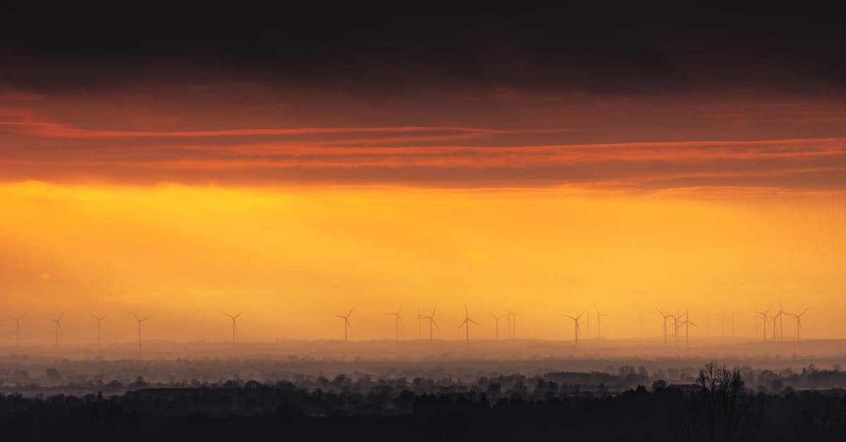 découvrez des solutions naturelles pour améliorer votre bien-être au quotidien. explorez des alternatives écologiques et des remèdes efficaces, pour un mode de vie sain et respectueux de l'environnement.