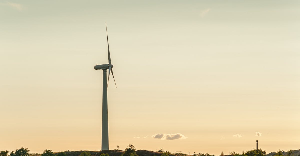 découvrez des solutions naturelles efficaces pour améliorer votre bien-être au quotidien. explorez des alternatives saines et durables adaptées à vos besoins.