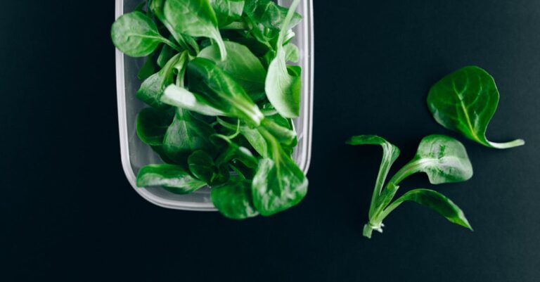 découvrez les meilleures techniques de conservation des salades pour garder vos légumes frais et croquants plus longtemps. apprenez à stocker, préparer et utiliser des astuces pour maximiser la durée de vie de vos salades tout en préservant leurs saveurs et nutriments.