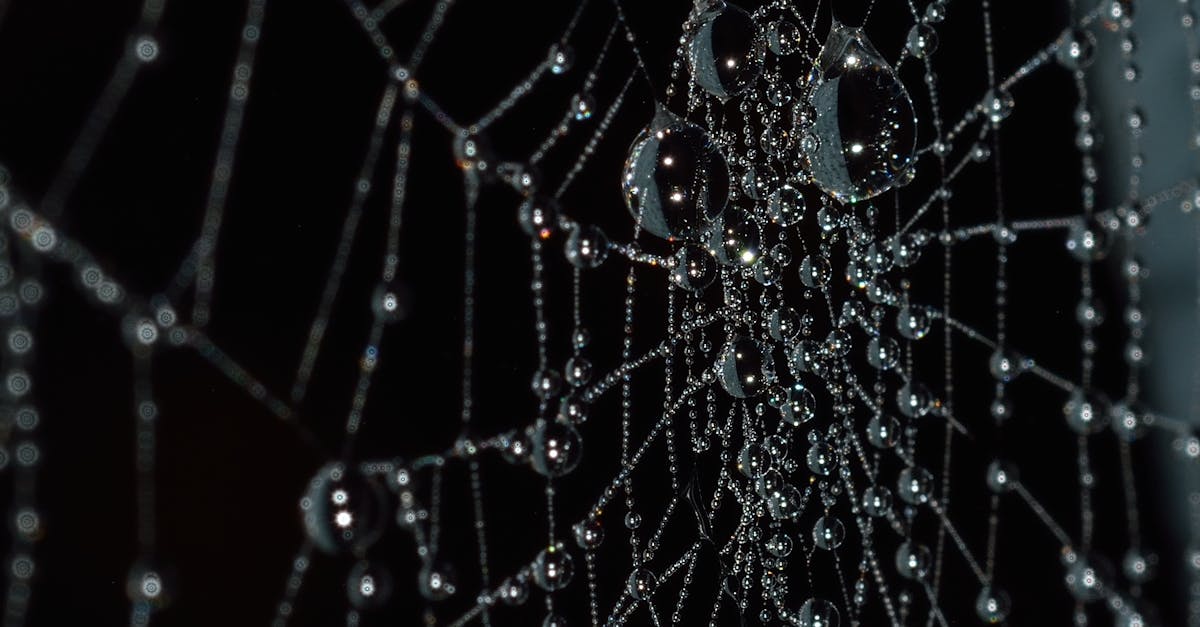 découvrez notre répulsif contre les araignées, une solution efficace et naturelle pour repousser ces insectes indésirables de votre maison. protégez votre espace de vie en toute sécurité grâce à notre produit innovant qui garantit des résultats durables.