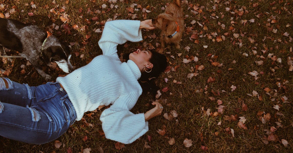 découvrez notre collection de sweats confortables et stylés, conçus pour allier chaleur et tendance. parfait pour toutes les occasions, ces sweats vous offrent un confort optimal sans compromis sur le style. explorez les différentes couleurs et motifs qui s'adaptent à votre look.
