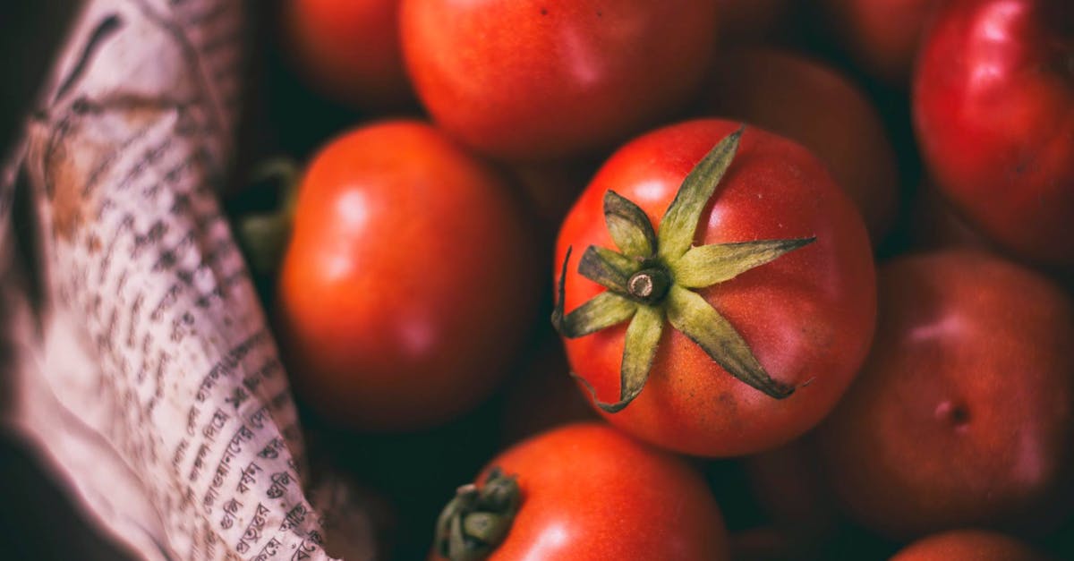 découvrez tout sur les tomates : variétés, bienfaits nutritionnels, conseils de culture et délicieuses recettes pour mettre en valeur ce fruit savoureux dans vos plats.