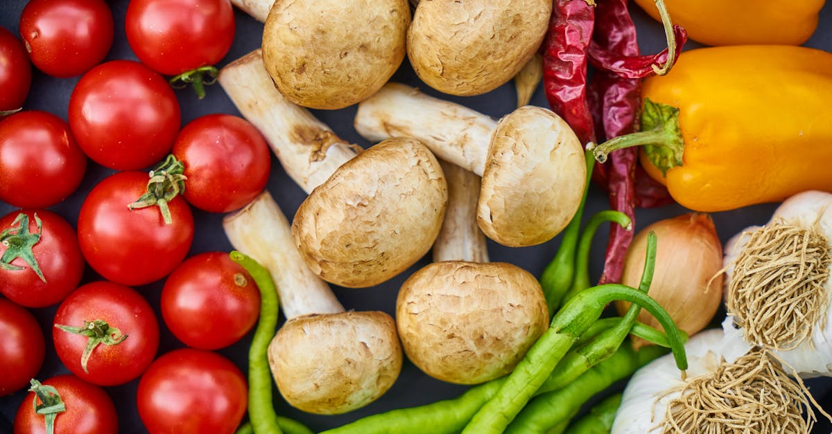 découvrez tout sur les tomates : recettes savoureuses, conseils de culture et bienfaits nutritionnels. apprenez à choisir les meilleures variétés et à savourer ce fruit délicieux dans vos plats quotidiens.