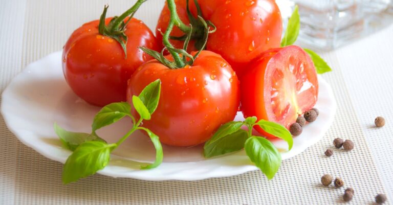 découvrez les bienfaits des tomates, des fruits savoureux et nutritifs, riches en vitamines et minéraux. explorez des recettes délicieuses, des conseils de culture et des astuces pour profiter au maximum de ce super-aliment dans votre alimentation quotidienne.