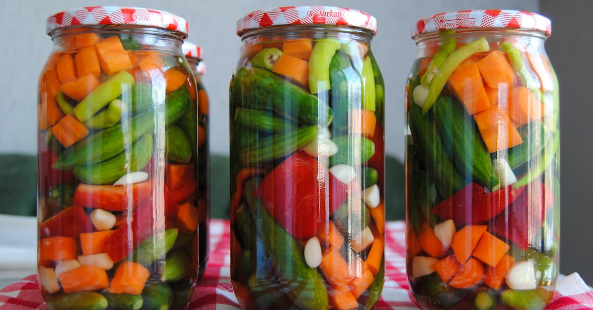 découvrez des méthodes efficaces de conservation des légumes pour prolonger leur fraîcheur et saveur. apprenez des techniques pratiques et des astuces pour préserver vos légumes préférés tout en dégustant une alimentation saine et durable.