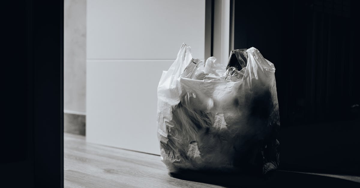 découvrez des stratégies innovantes et pratiques pour réduire les déchets au quotidien. adoptez des solutions durables qui préservent notre planète et améliorent votre qualité de vie.