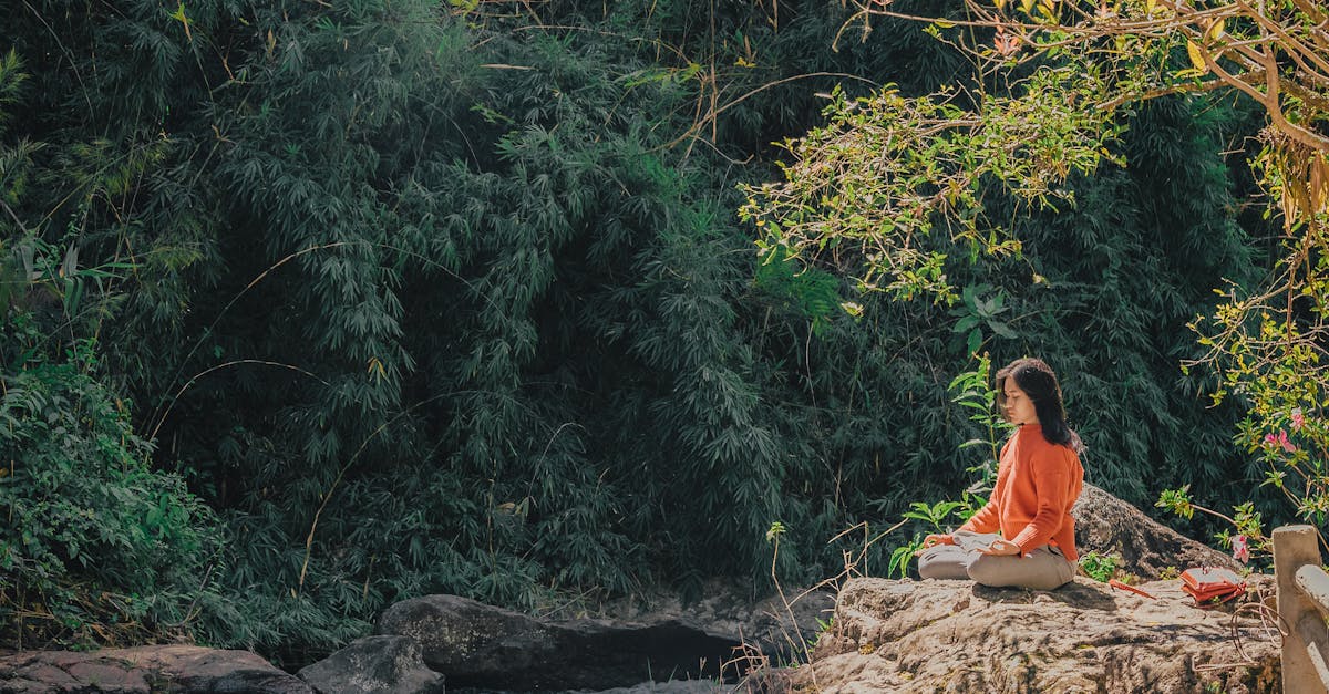 découvrez l'univers apaisant du yoga, une pratique millénaire qui harmonise le corps et l'esprit. que vous soyez débutant ou expérimenté, explorez nos conseils, postures et techniques pour améliorer votre bien-être au quotidien.