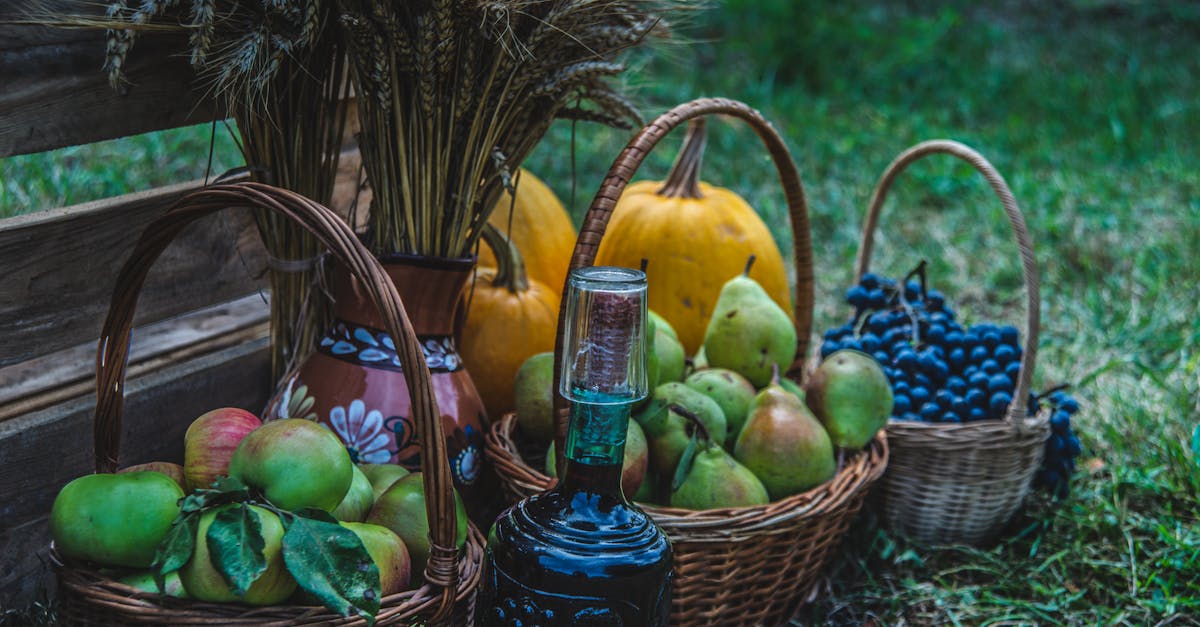 découvrez les bienfaits de la vinaigre de cidre de pomme, un ingrédient naturel prisé pour ses propriétés purifiantes, sa capacité à favoriser la digestion et son utilisation en cosmétique. apprenez à l'intégrer dans votre quotidien pour une santé optimale.