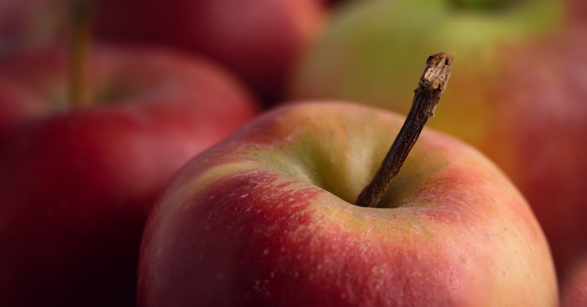 découvrez les bienfaits du vinaigre de cidre de pomme, un remède naturel aux propriétés étonnantes pour la santé, la beauté et la cuisine. apprenez comment l'intégrer facilement dans votre quotidien pour améliorer votre bien-être.