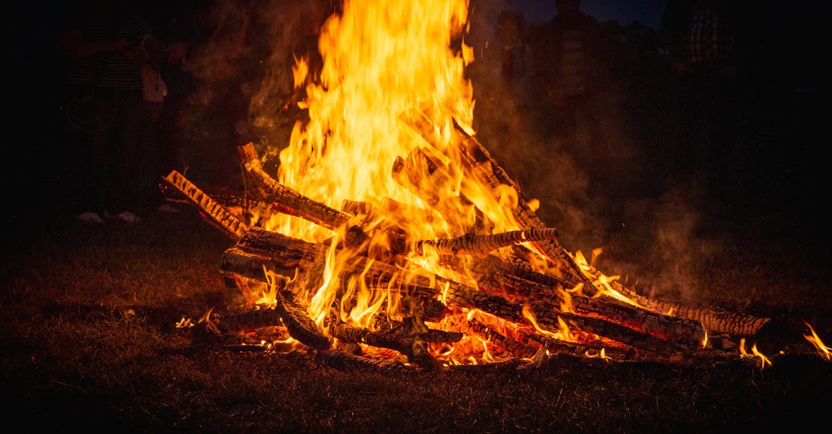 découvrez tout ce que vous devez savoir sur la gestion des cendres de barbecue. des conseils pour une élimination écologique à des idées pour les réutiliser dans votre jardin, apprenez à maximiser l'utilisation de vos cendres et à garder votre espace extérieur propre.