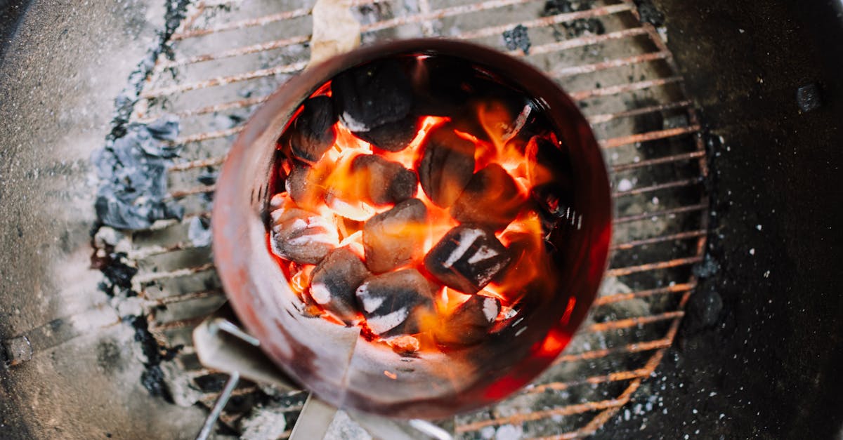 découvrez tout ce qu'il faut savoir sur les cendres de barbecue : leurs propriétés, leur utilisation écologique dans le jardin, et des conseils pratiques pour les gérer efficacement après vos grillades.
