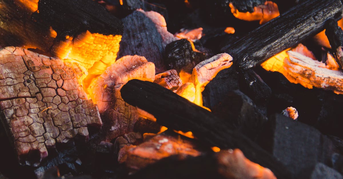 découvrez tout ce que vous devez savoir sur les cendres de barbecue : leur utilisation, leur impact environnemental et comment les éliminer correctement. profitez pleinement de vos grillades tout en préservant la planète.
