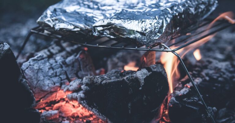 découvrez comment gérer et recycler les cendres de votre barbecue pour un jardin plus sain. apprenez des astuces pratiques pour utiliser ces déchets en toute sécurité et profiter de leurs bienfaits pour vos plantes.
