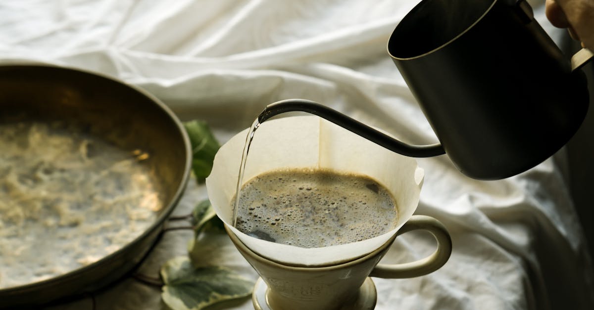 découvrez les multiples usages des déchets de café : des astuces de jardinage aux recettes de beauté. apprenez comment recycler les marc de café pour profiter de leurs bienfaits écologiques et économiques.