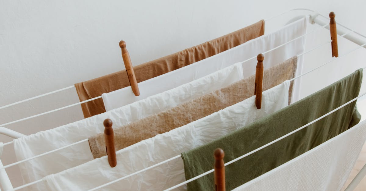 découvrez l'art du séchage avec nos conseils et astuces. apprenez les meilleures techniques pour conserver vos aliments, textiles et plus encore, tout en préservant leurs saveurs et qualités essentielles.