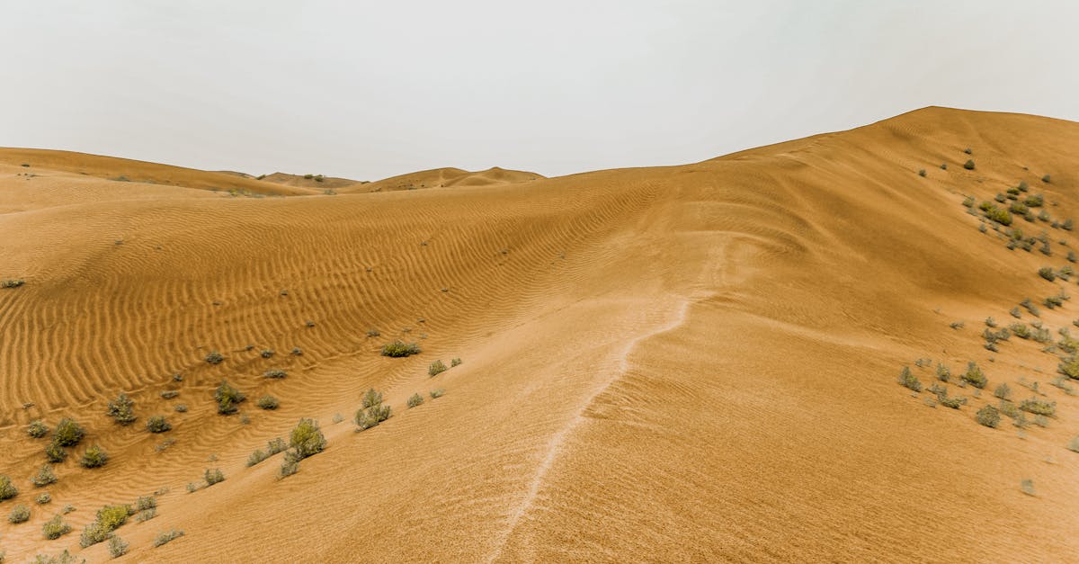 découvrez comment lutter contre la sécheresse de la peau avec des conseils pratiques, des soins hydratants et des remèdes naturels pour retrouver éclat et confort au quotidien.