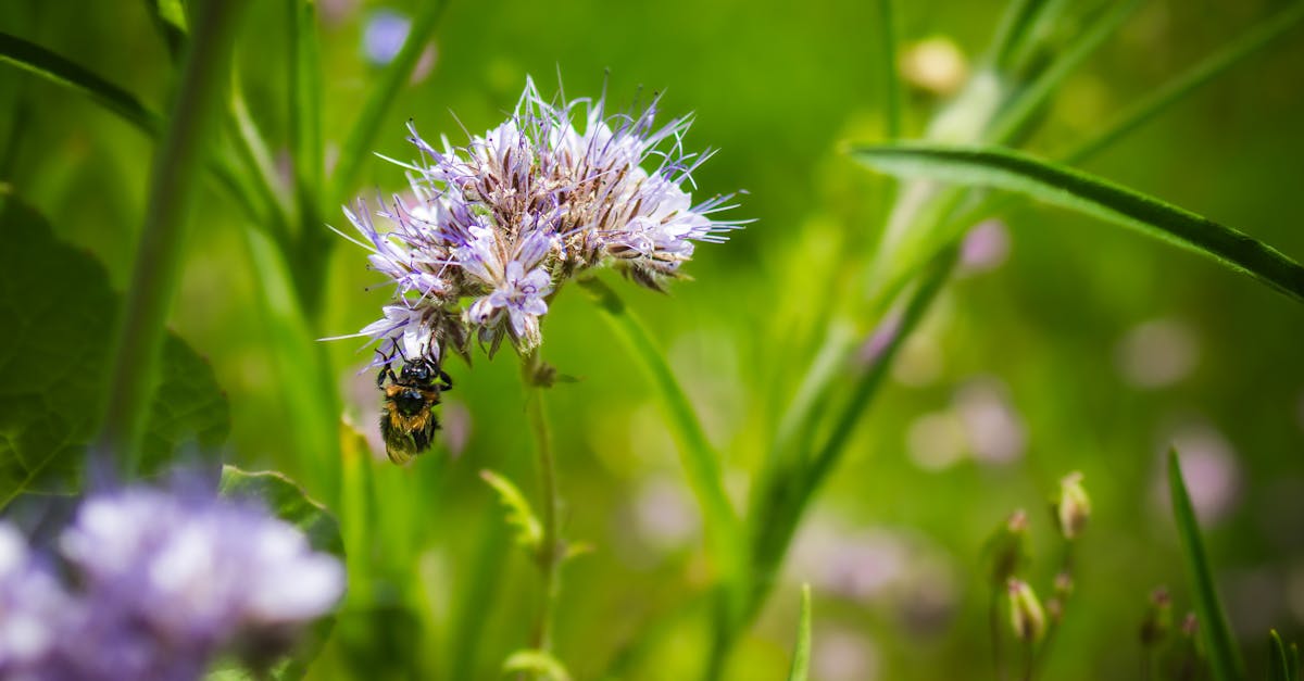 découvrez des astuces écologiques pratiques pour réduire votre impact sur l'environnement, adopter un mode de vie durable et contribuer à la protection de notre planète. apprenez à intégrer des choix écoresponsables au quotidien !