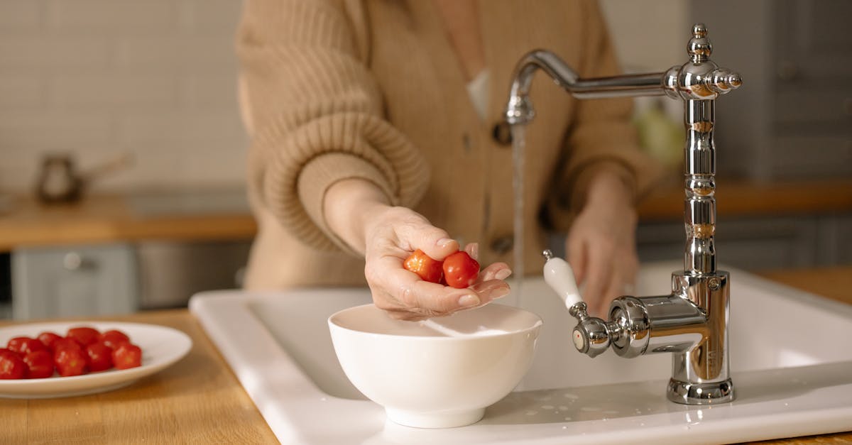 découvrez les meilleures pratiques en matière d'hygiène alimentaire pour garantir la sécurité de vos repas. apprenez à manipuler, stocker et préparer vos aliments de manière à prévenir les risques sanitaires et à assurer la santé de votre famille.