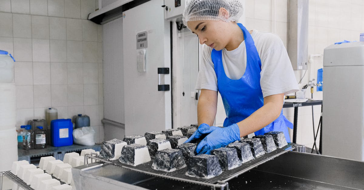 découvrez l'importance de l'hygiène alimentaire pour la sécurité et la qualité de vos repas. apprenez les meilleures pratiques pour garantir la propreté dans le traitement des aliments et prévenir les risques sanitaires.