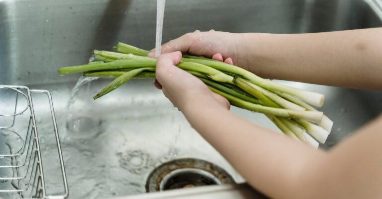 découvrez l'importance de l'hygiène alimentaire pour garantir la sécurité de vos repas. apprenez les meilleures pratiques pour prévenir les contaminations et assurer une alimentation saine et savoureuse.