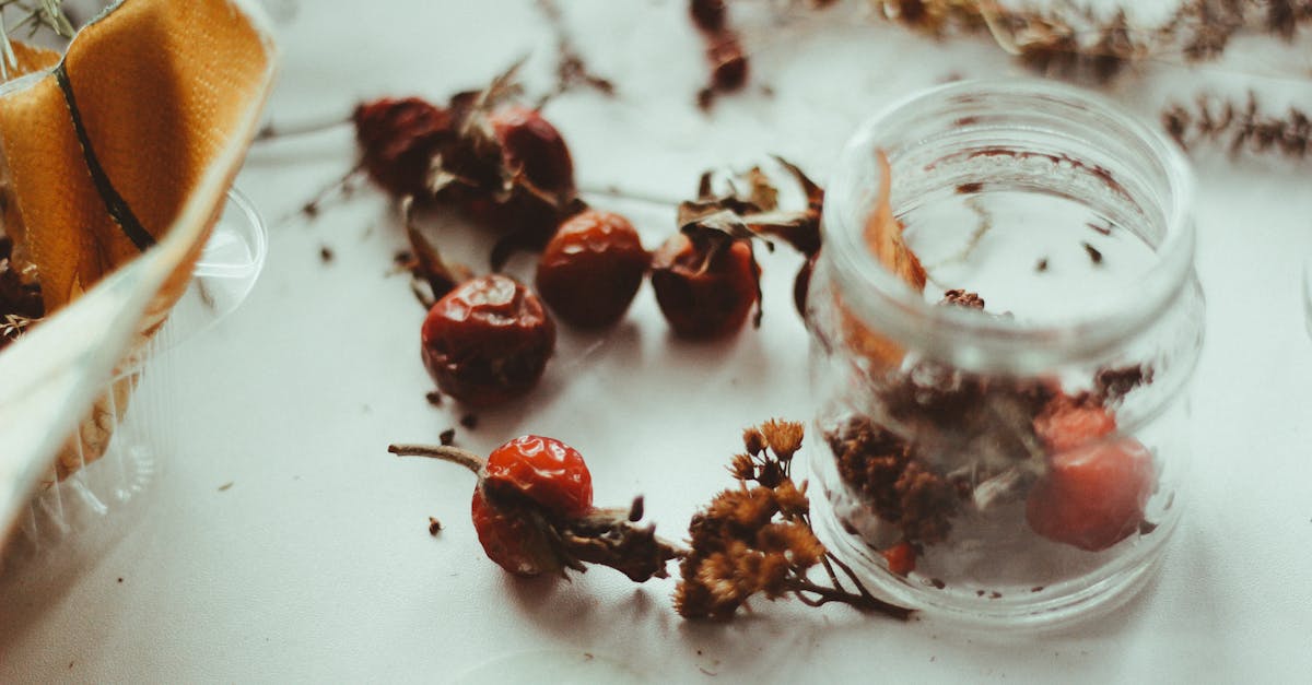 découvrez des méthodes efficaces et naturelles pour la préservation des fruits afin de conserver leur fraîcheur et leurs nutriments. apprenez à utiliser des techniques de mise en conserve, de déshydratation et de congélation pour profiter de vos fruits préférés tout au long de l'année.