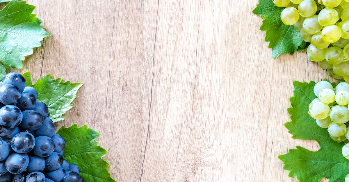 découvrez la richesse et la diversité des fruits ! apprenez-en plus sur leurs bienfaits pour la santé, leurs variétés savoureuses et comment les intégrer dans votre alimentation quotidienne pour un mode de vie sain.