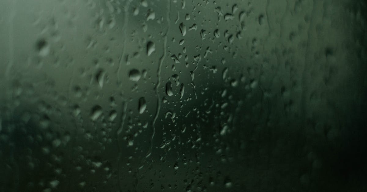 découvrez tout sur l'humidité : ses causes, ses effets sur notre santé et notre environnement, ainsi que des conseils pour la réguler efficacement dans votre habitat.