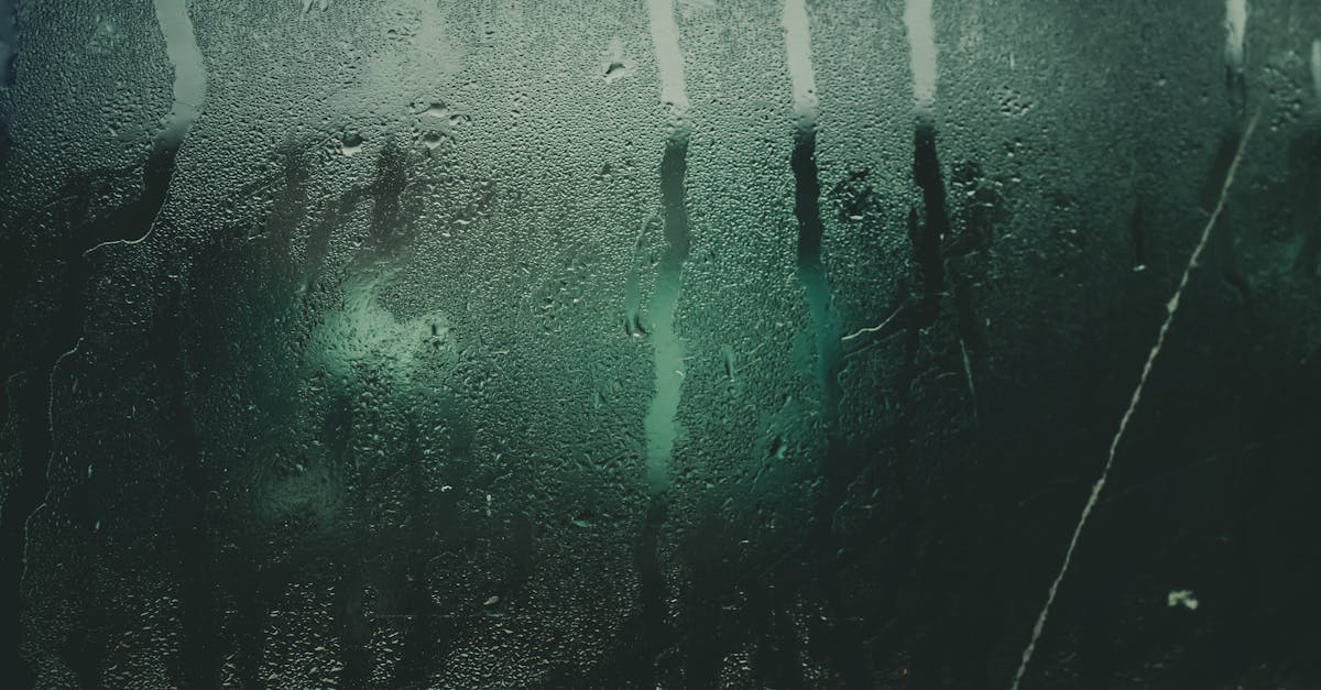 découvrez tout sur l'humidité : ses effets sur notre santé, son influence sur l'environnement et des conseils pratiques pour maintenir un niveau d'humidité optimal dans votre maison. apprenez à mieux comprendre ce phénomène naturel et à améliorer votre confort au quotidien.