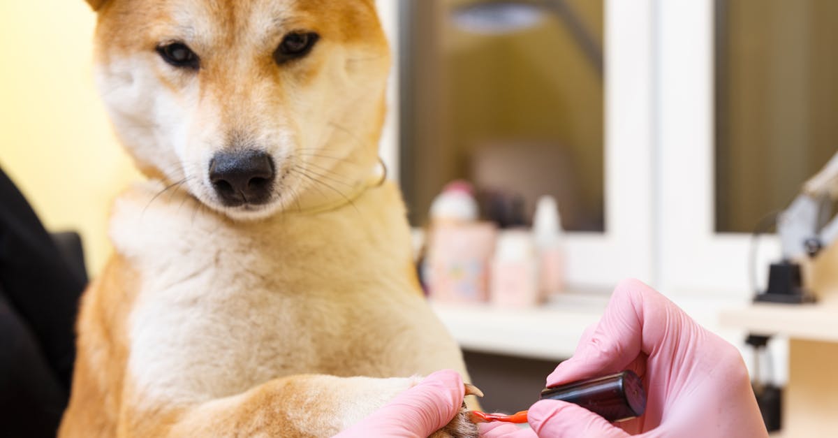 découvrez comment enlever facilement votre vernis à ongles avec nos astuces et produits recommandés. obtenez des conseils pour un retrait en douceur et sans abîmer vos ongles.
