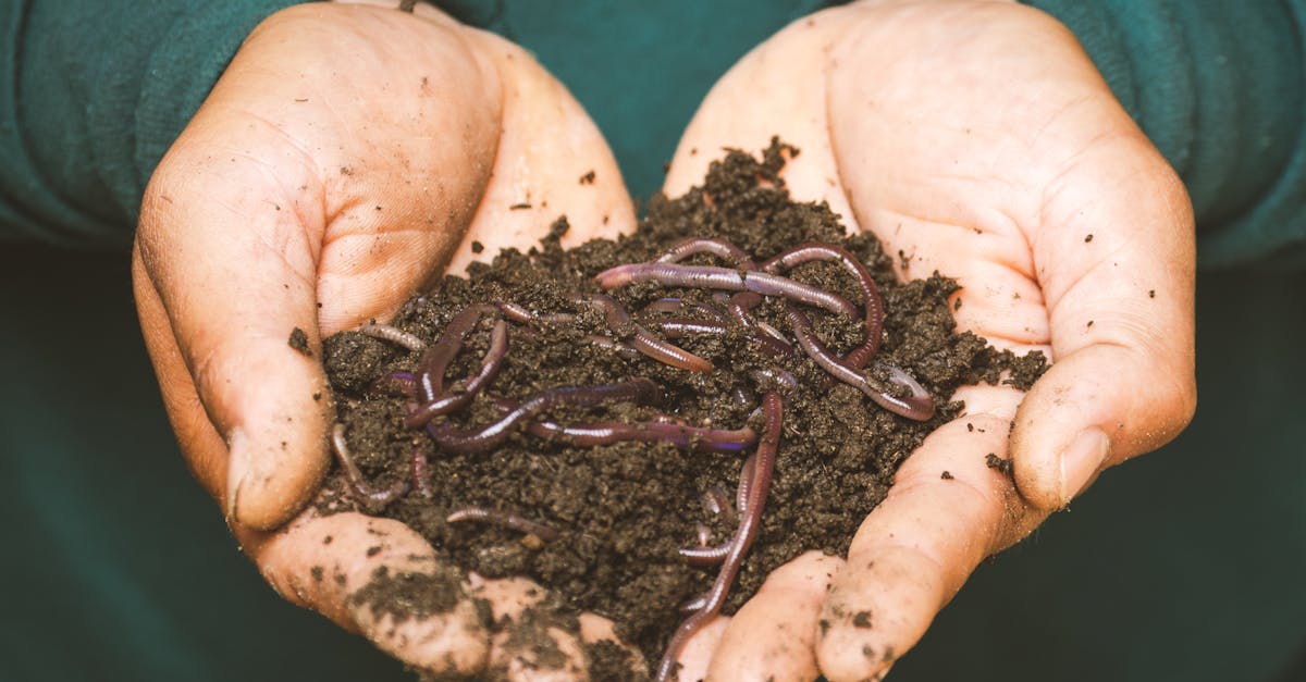 découvrez les bienfaits des engrais naturels pour votre jardin ! améliorez la santé de vos plantes et la qualité de votre sol avec des solutions écologiques et durables. optez pour des méthodes respectueuses de l'environnement pour une agriculture saine.