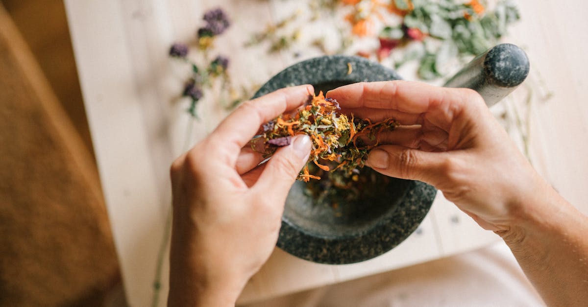 découvrez les bienfaits des remèdes naturels pour améliorer votre santé et votre bien-être. explorez des solutions à base de plantes, d'huiles essentielles et d'autres ingrédients naturels pour soulager divers maux au quotidien.