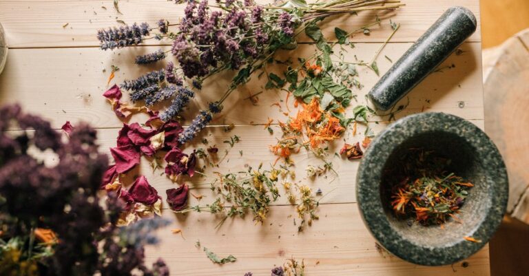 découvrez les remèdes naturels pour améliorer votre bien-être au quotidien. explorez des solutions simples à base de plantes, d'huiles essentielles et de techniques traditionnelles pour soulager divers maux de manière saine et efficace.