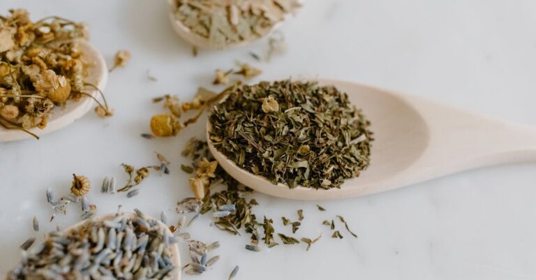découvrez des remèdes naturels efficaces pour soulager divers maux quotidiens. explorez nos conseils pratiques, astuces de grand-mère et recettes de produits à base de plantes pour améliorer votre bien-être de manière saine et naturelle.
