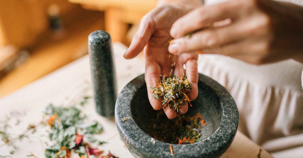 découvrez les remèdes naturels pour soulager divers maux et améliorer votre bien-être. explorez des solutions saines et efficaces à base de plantes, d'huiles essentielles et d'ingrédients naturels pour une approche holistique de la santé.